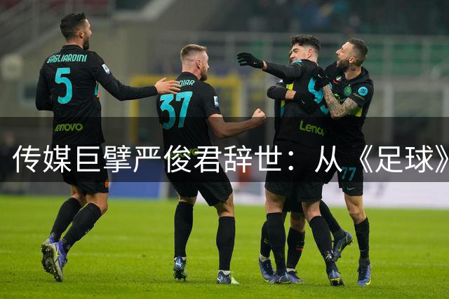 传媒巨擘严俊君辞世：从《足球》报到奇石馆的传奇人生