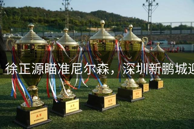 徐正源瞄准尼尔森，深圳新鹏城迎战辽宁铁人