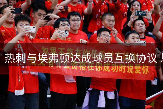 热刺与埃弗顿达成球员互换协议 恩迪亚耶转会里沙利松回归